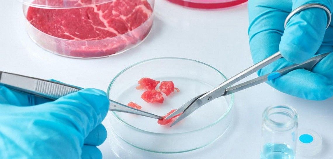 Микробиологический анализ пищевых продуктов (мясо и мясная продукция в т.ч. готовая консервированная)